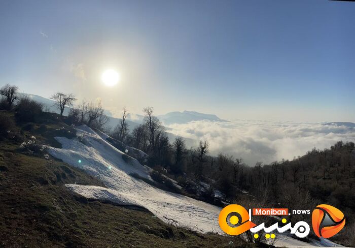 طبیعت زیبای جنگل اولنگ در آغاز بهار