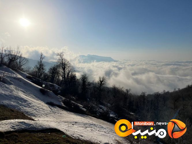 طبیعت زیبای جنگل اولنگ در آغاز بهار