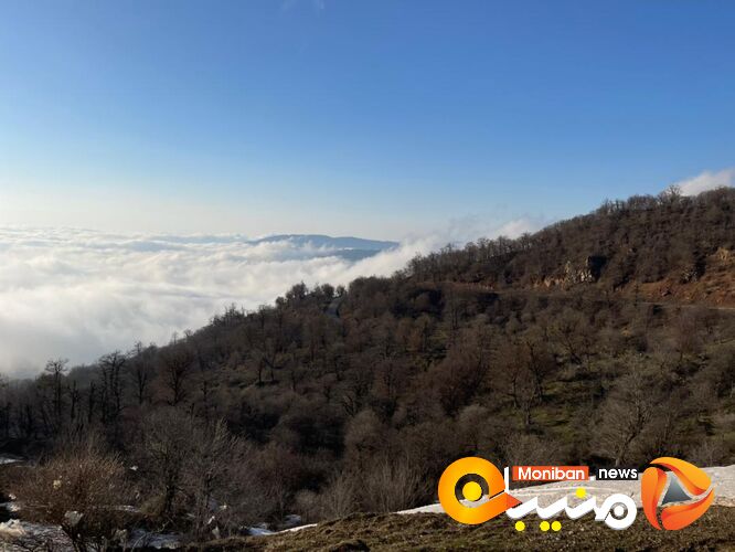 طبیعت زیبای جنگل اولنگ در آغاز بهار