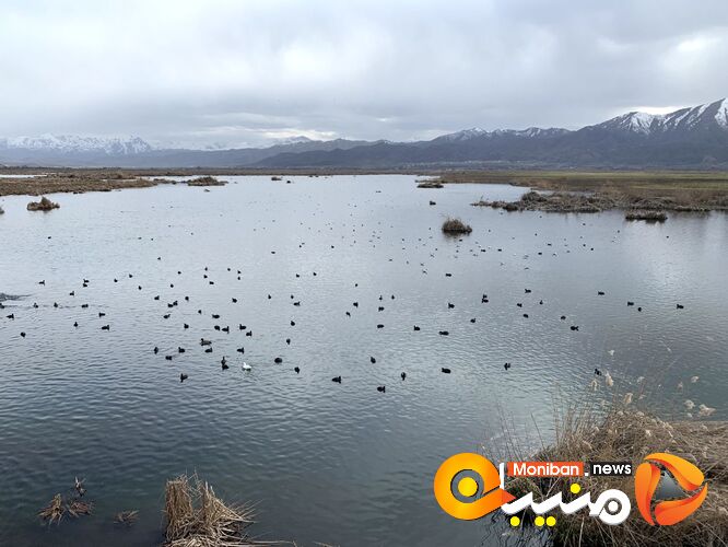 دریاچه زریوار