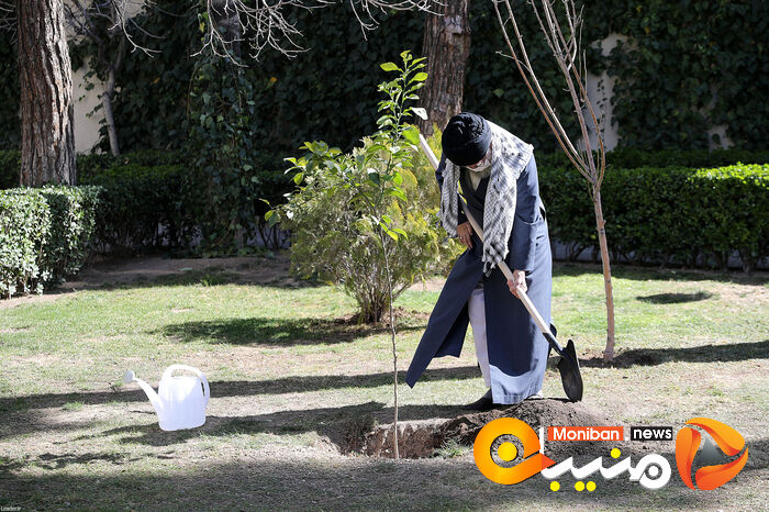 کاشت نهال در هفته منابع طبیعی توسط رهبر معظم انقلاب