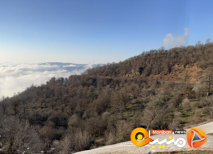 طبیعت زیبای جنگل اولنگ در آغاز بهار