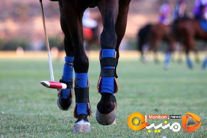 هفته پایانی مسابقات چوگان جام شهید سلیمانی