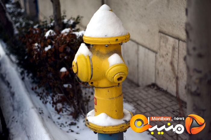 گزارش تصویری| تهران در برف