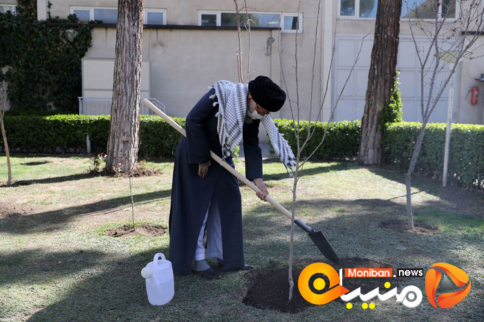 کاشت نهال در هفته منابع طبیعی توسط رهبر معظم انقلاب