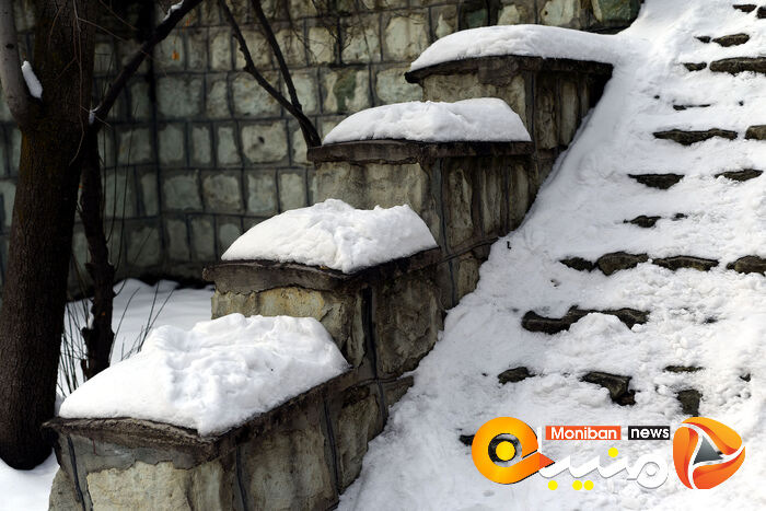گزارش تصویری| تهران در برف