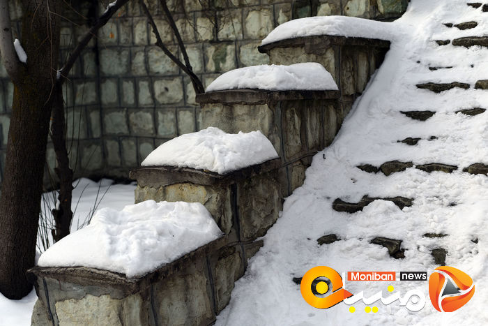 گزارش تصویری| تهران در برف