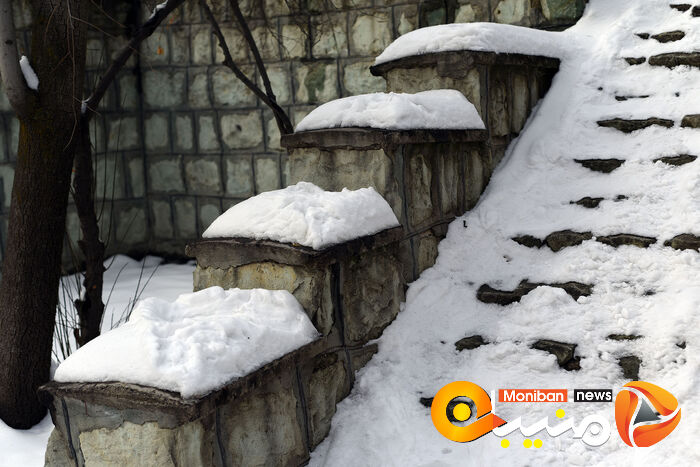 گزارش تصویری| تهران در برف