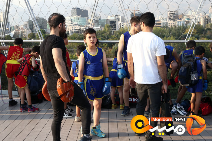 گزارش تصویری| همایش بزرگ ووشوکاران استان تهران در پل طبیعت