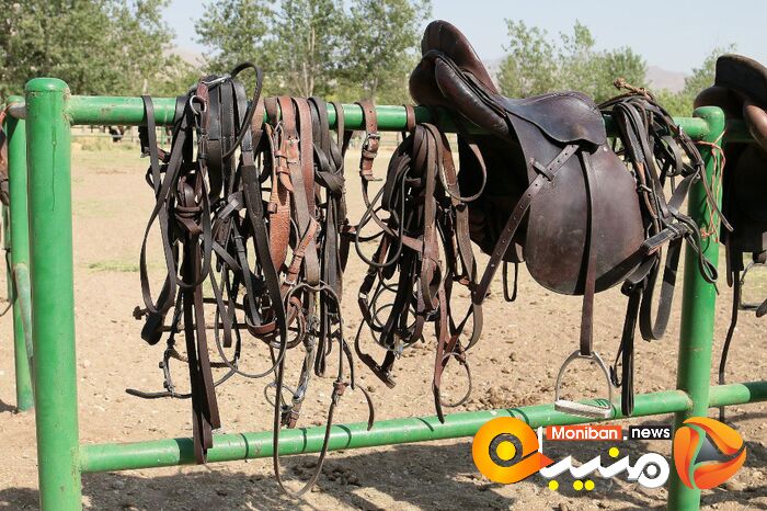 هفته پایانی مسابقات چوگان جام شهید سلیمانی