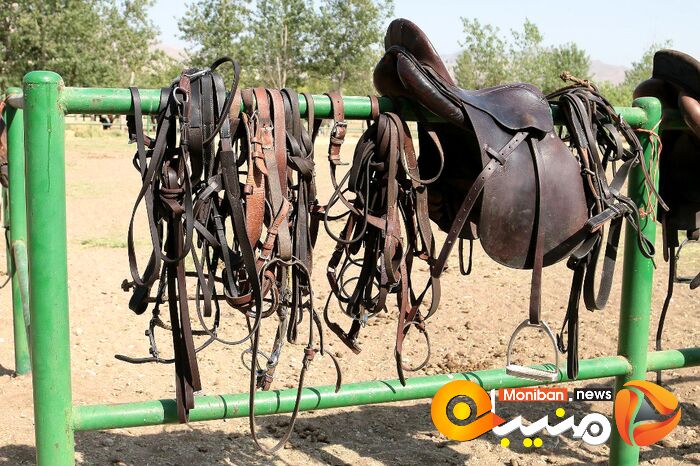 هفته پایانی مسابقات چوگان جام شهید سلیمانی