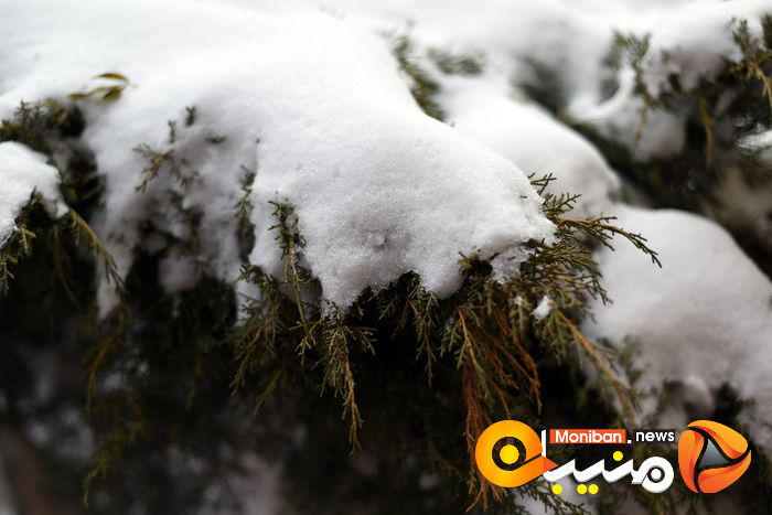 گزارش تصویری| تهران در برف
