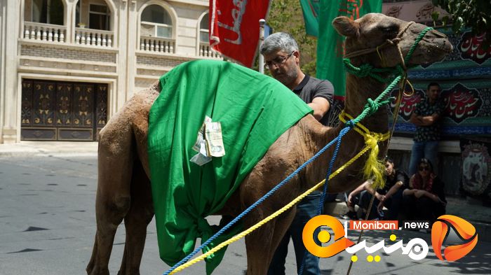 گزارش تصویری| روز عاشورا و شام غریبان
