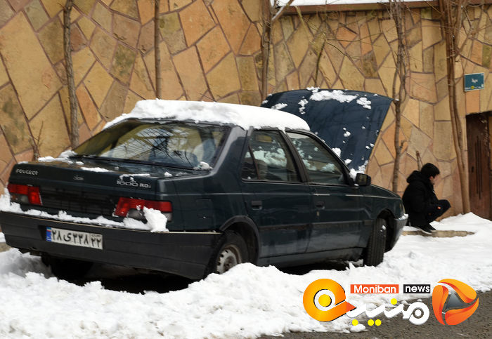 گزارش تصویری| تهران در برف