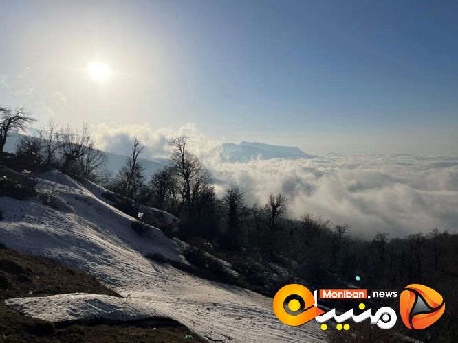 طبیعت زیبای جنگل اولنگ در آغاز بهار