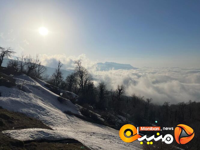 طبیعت زیبای جنگل اولنگ در آغاز بهار
