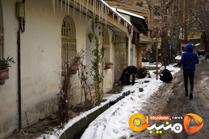 گزارش تصویری| تهران در برف