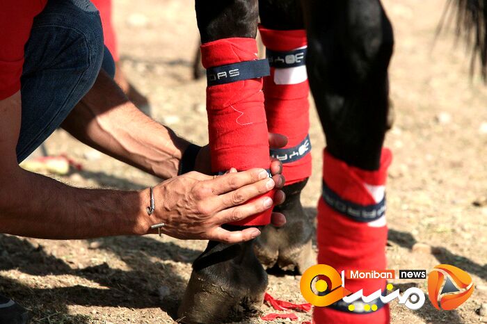 هفته پایانی مسابقات چوگان جام شهید سلیمانی