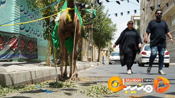 گزارش تصویری| روز عاشورا و شام غریبان