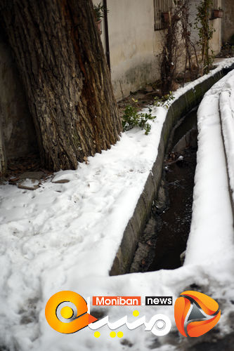 گزارش تصویری| تهران در برف