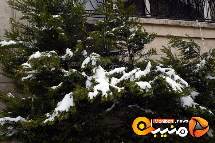 گزارش تصویری| تهران در برف