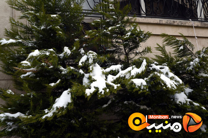 گزارش تصویری| تهران در برف