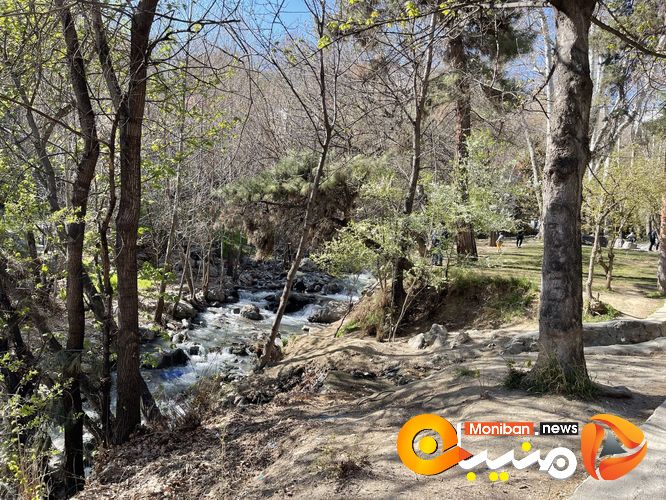 مجموعه سعد آباد در ایام نوروز