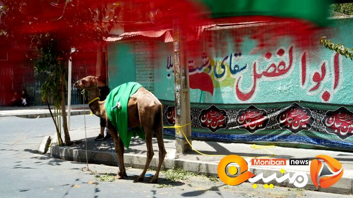 گزارش تصویری| روز عاشورا و شام غریبان