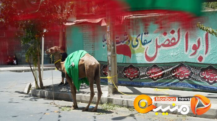 گزارش تصویری| روز عاشورا و شام غریبان