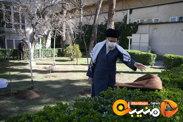 کاشت نهال در هفته منابع طبیعی توسط رهبر معظم انقلاب