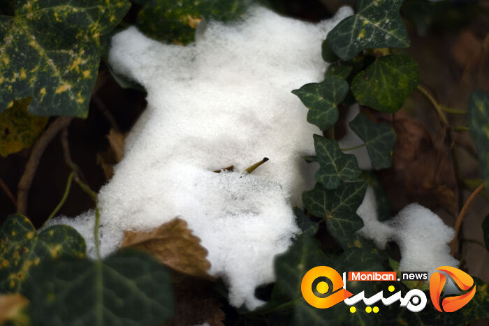 گزارش تصویری| تهران در برف